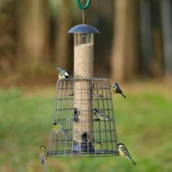 Adventurer 6 Port Bird Seed Feeder With Guardian