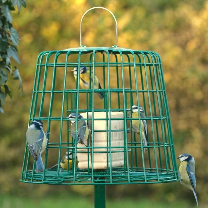Fat Ball & Peanut Cake Guardian Bird Feeder - Image 4