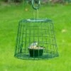Suet Pellet & Mealworm Guardian Bird Feeder