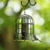 Milan Guardian Bird Seed Feeder