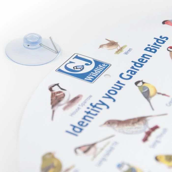 Garden Window Bird ID Chart - Image 2