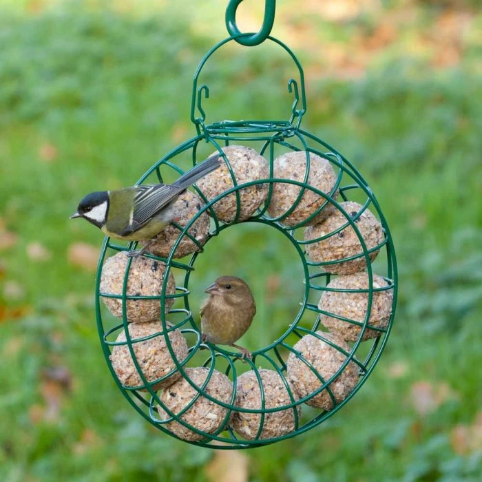 Fat Balls With Mealworms - 6 Pack - Image 2