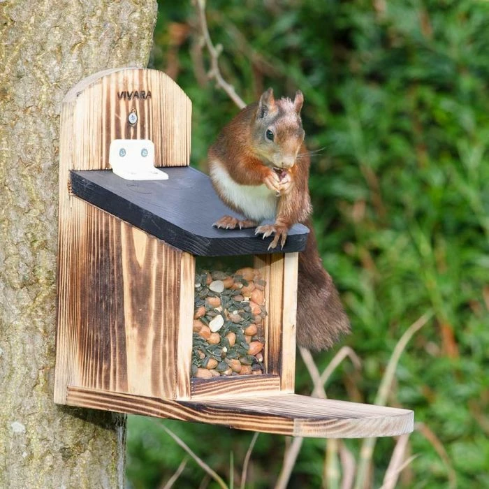 Victoria Squirrel Feeder - Image 3