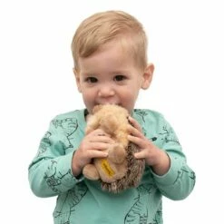 Wilberry Hedgehog Soft Toy