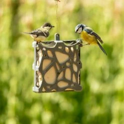 National Trust Anna Recycled Peanut Cake Bird Feeder