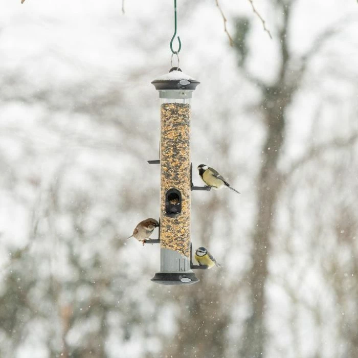 Apollo Bird Seed Feeder Range - Image 3