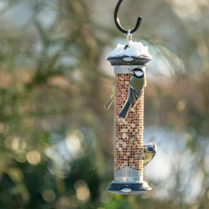 National Trust Apollo Peanut Feeder - Image 5