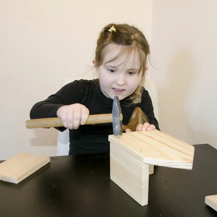 Build-Your-Own Nils 35mm Nest Box - Image 4