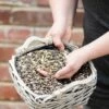 Bird Feeder Seed Mix
