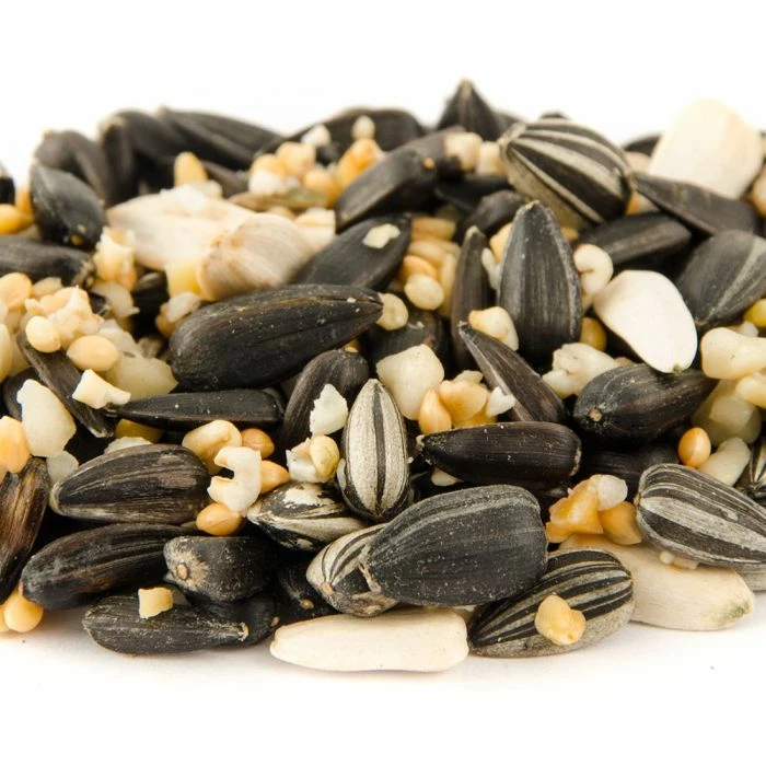 Bird Feeder Seed Mix - Image 2