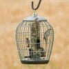 Aura Bird Seed Feeder Guardian Pack