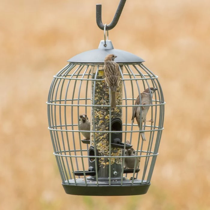 Aura Bird Seed Feeder Guardian Pack