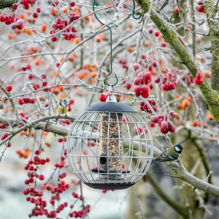 National Trust Athena Bird Seed Guardian Feeder - Image 2