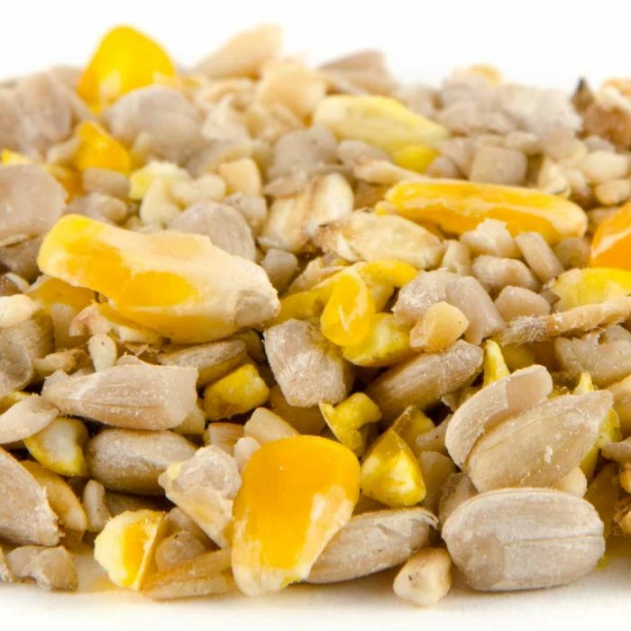 Husk-Free Bird Seed Mix - Image 2
