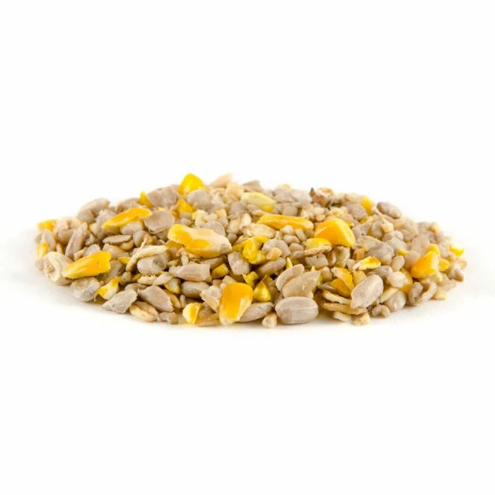 Husk-Free Bird Seed Mix - Image 3