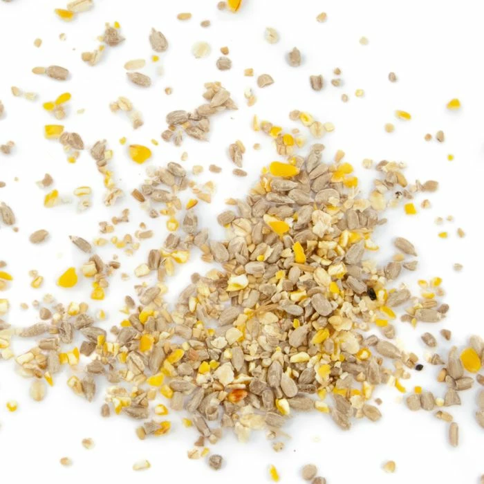 Husk-Free Bird Seed Mix - Image 4