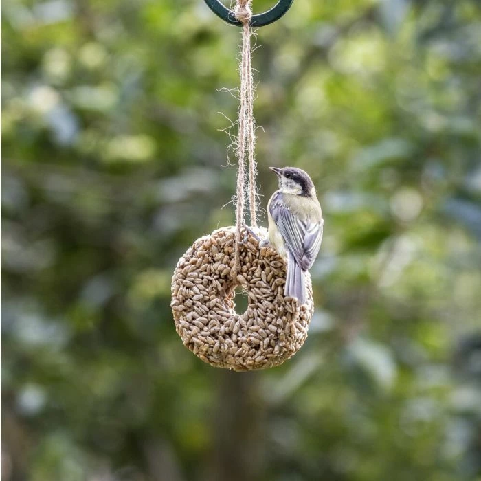 Sunflower Heart Ring - Image 2
