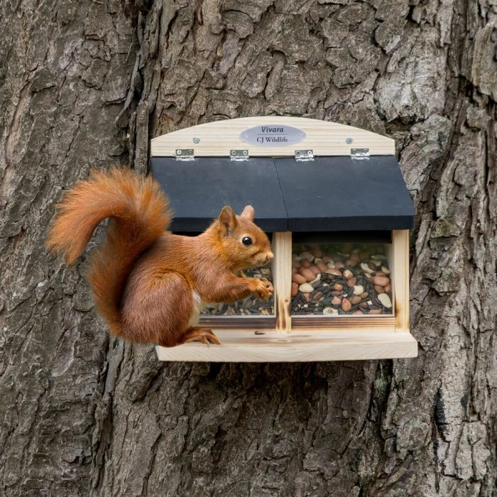Galiano Double Squirrel Feeder