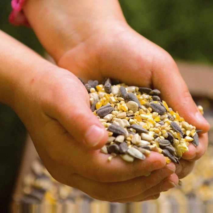 National Trust Garden Bird Table Seed - Image 3