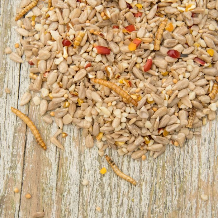 Hi-Energy Supreme Bird Seed Mix - Image 2