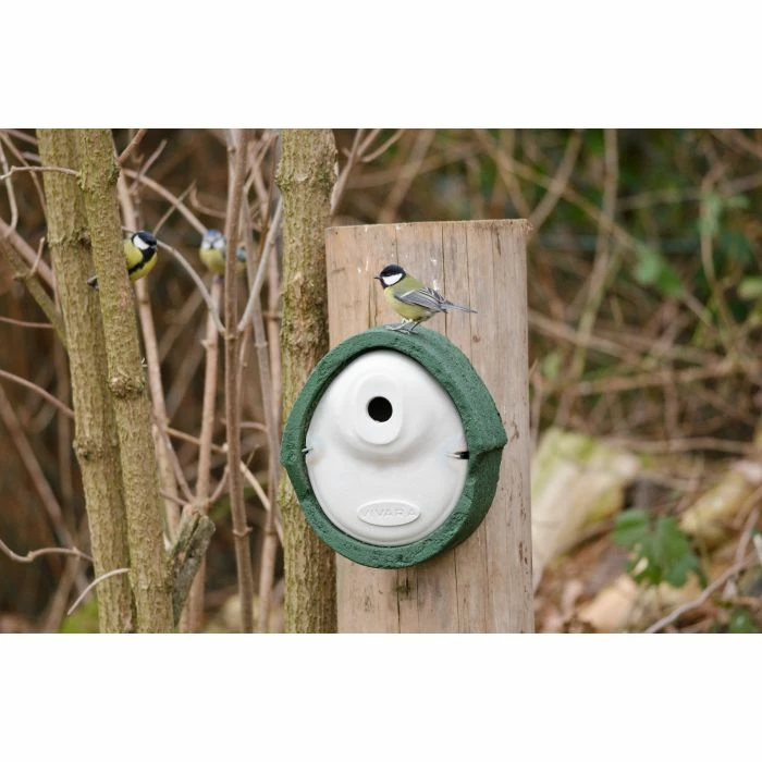 WoodStone® Alicante 28mm Nest Box (Green) - Image 4