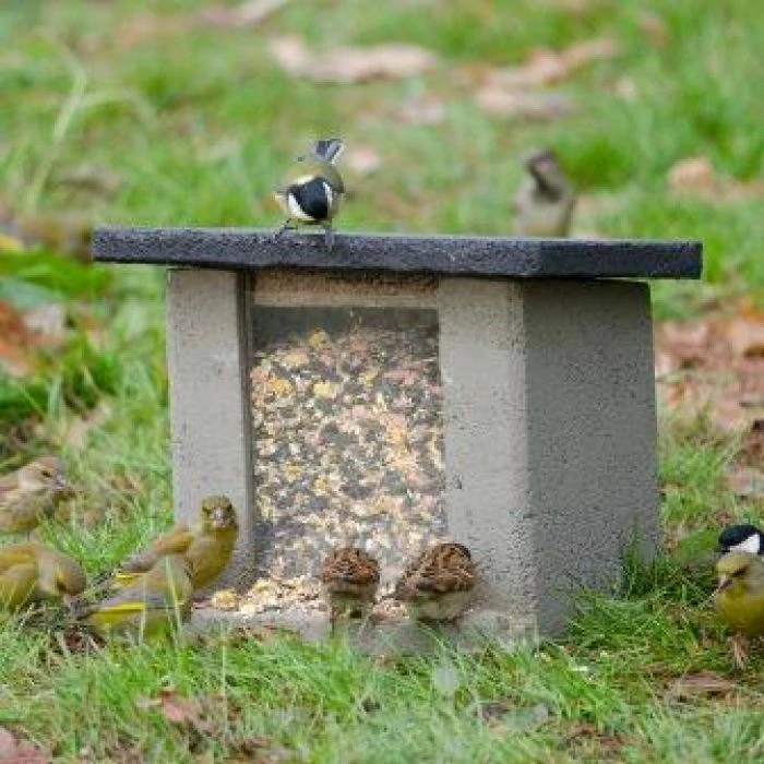 WoodStone® Ground Feeder - Image 2